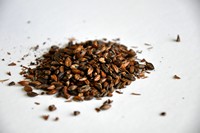 Chocolate, Organic (US)